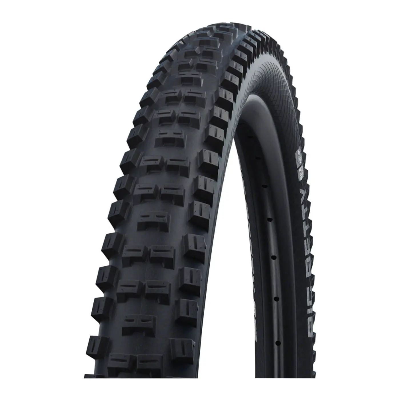 Schwalbe Big Betty Tire - 26 x 2.4 | Wire