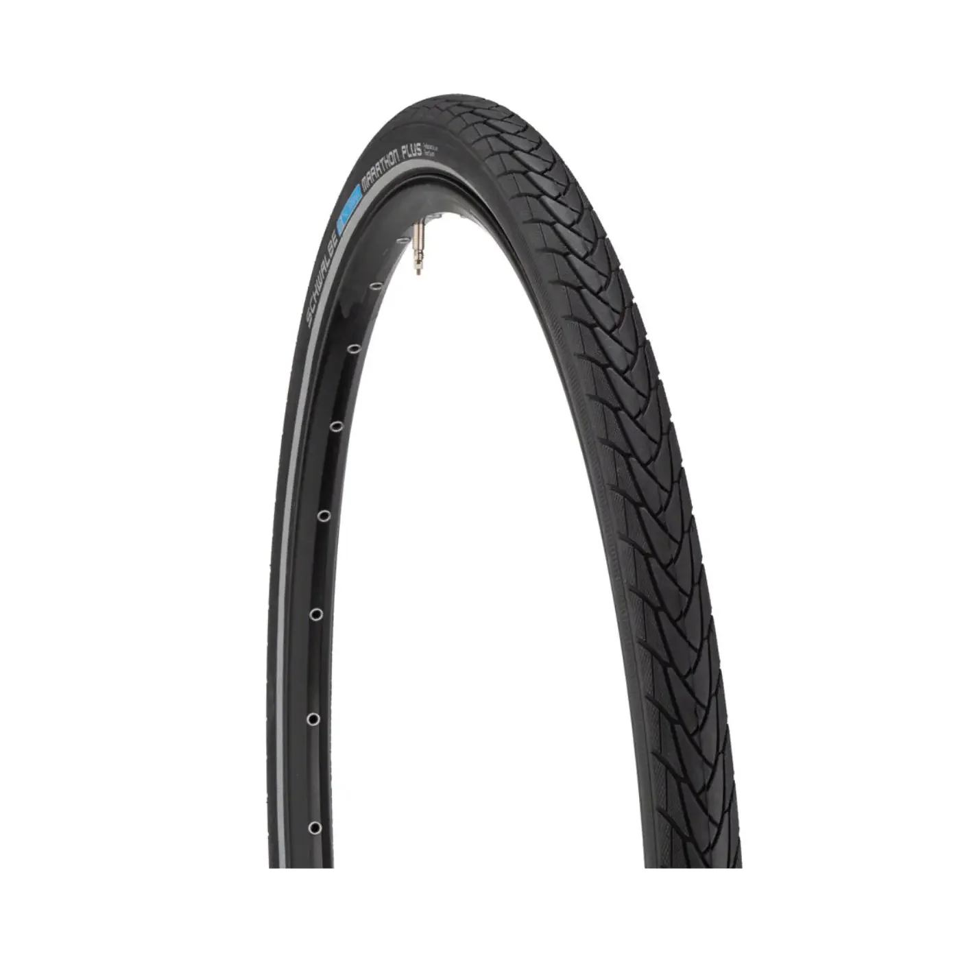 Schwalbe Marathon Tire - 700 x 35 | Wire